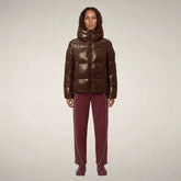 Noisette Brown (40054)