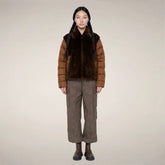 Soil Brown