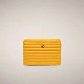 beak yellow