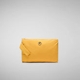 beak yellow