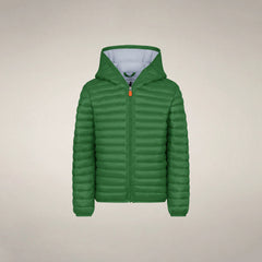 Rainforest Green