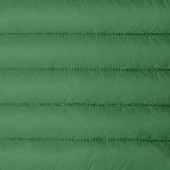 Rainforest Green