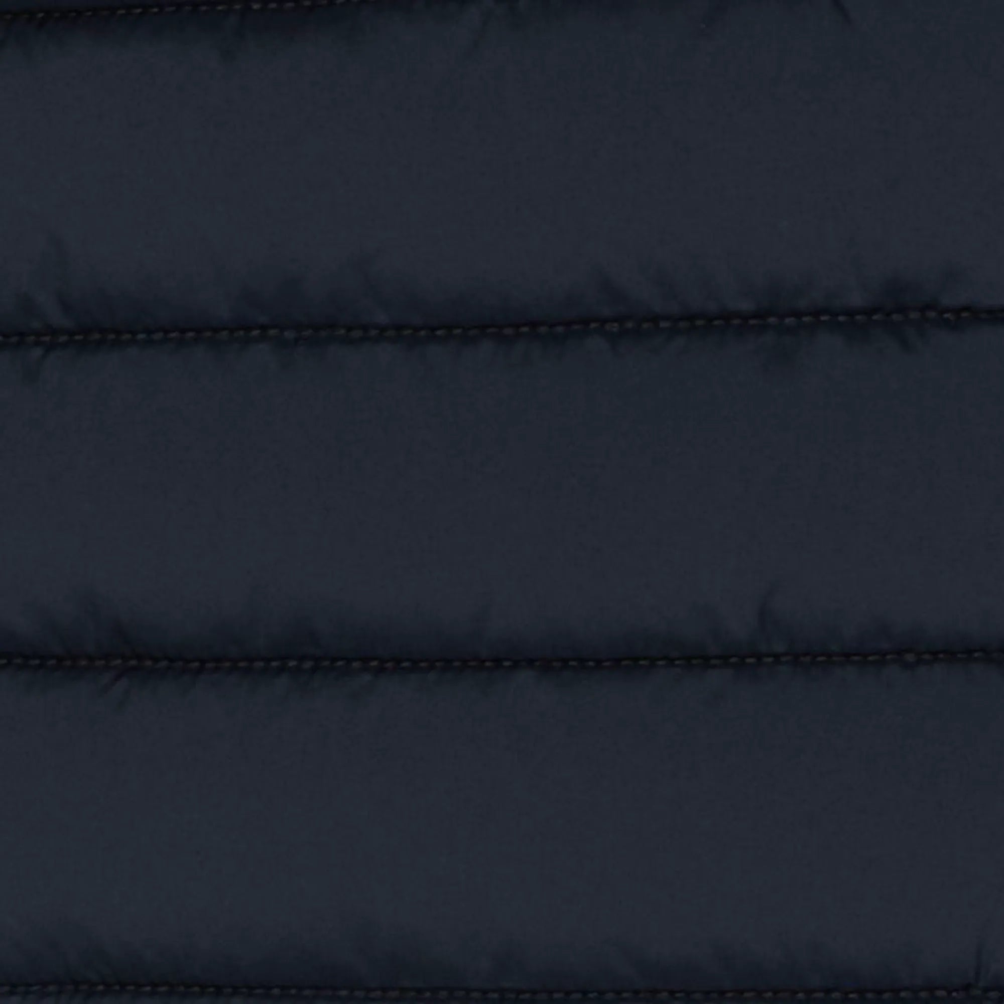 Blue Black