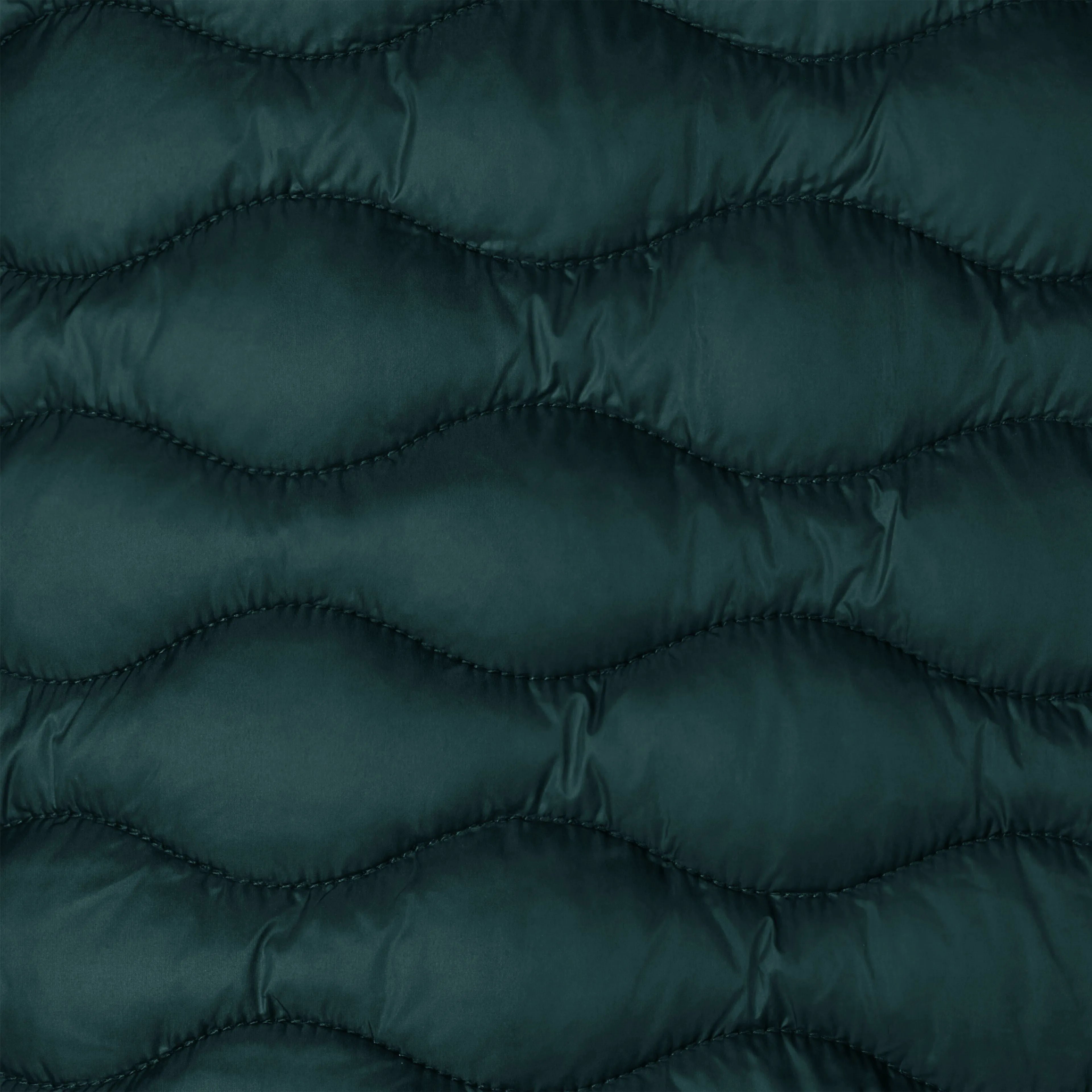 Salamander Green