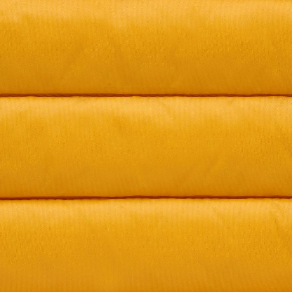beak yellow