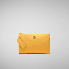beak yellow