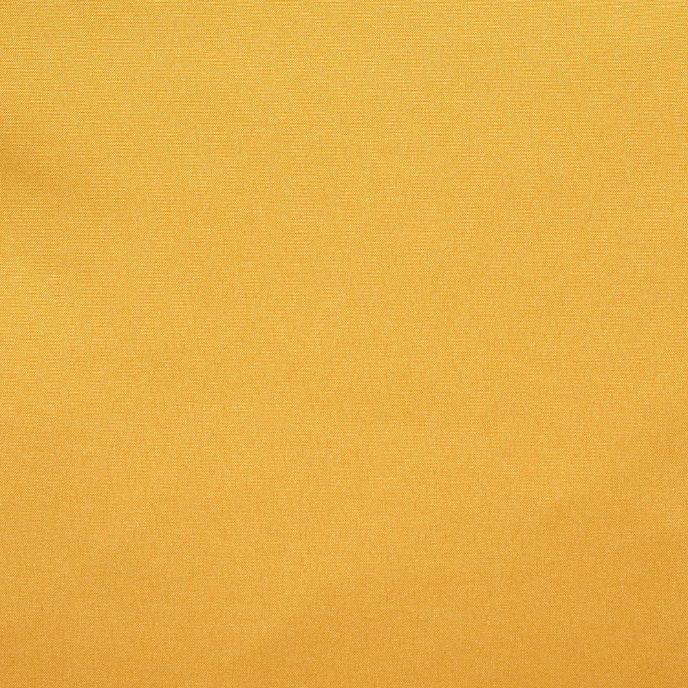 beak yellow