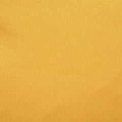 beak yellow